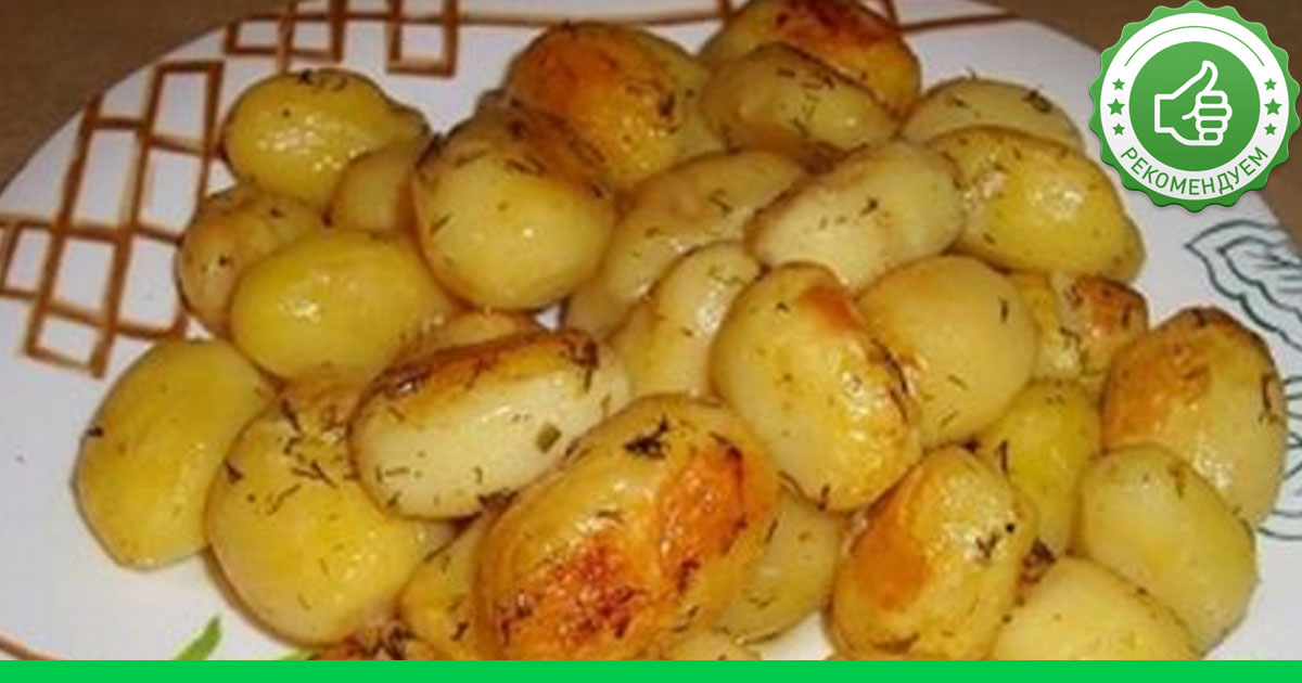 Что приготовить в духовке из картошки и фарша в духовке с пошагово Что приготовить в духовке из картошки и фарша в духовке с пошагово