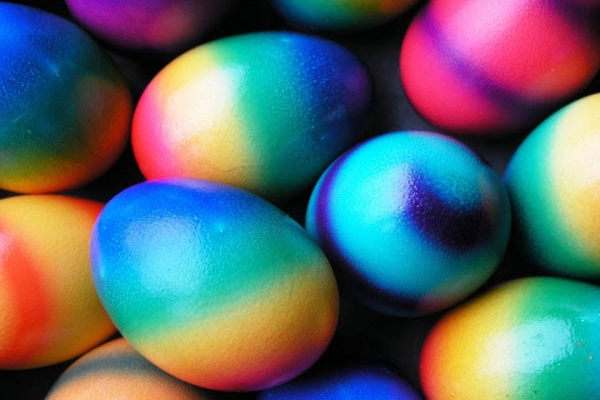 resized-eggs-color