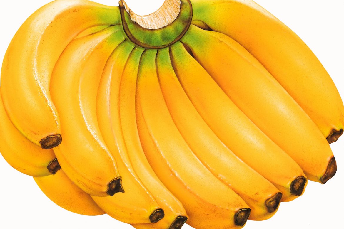 poleznie-svojstva-bananov
